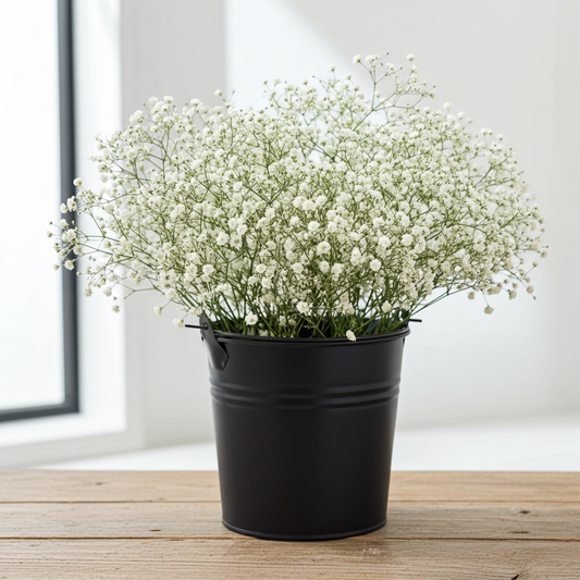 Baby's Breath Gypsophila white filler flower bunch